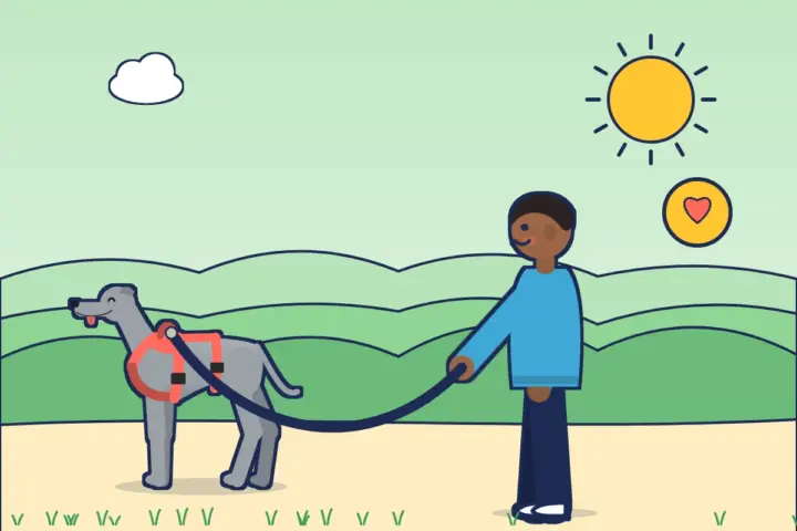 Illustration: Mann mit grauem Windhund im Sicherheitsgeschirr an lockerer Leine, daneben ein Herz