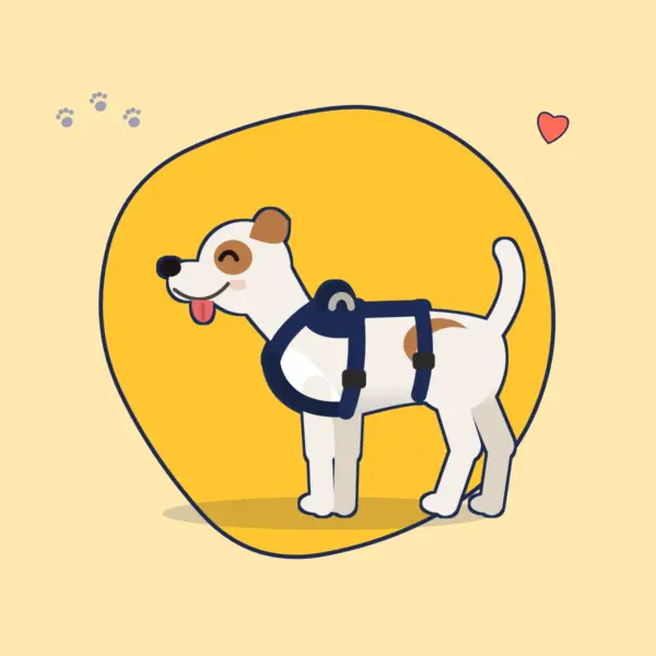 Illustration: kleiner Terrier in einem dunkelblauen, ausbruchsicheren Hundegeschirr mit drei Gurten
