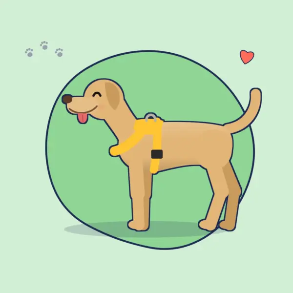 Illustration: Labrador in einem sonnengelben Norwegergeschirr aus Biothane