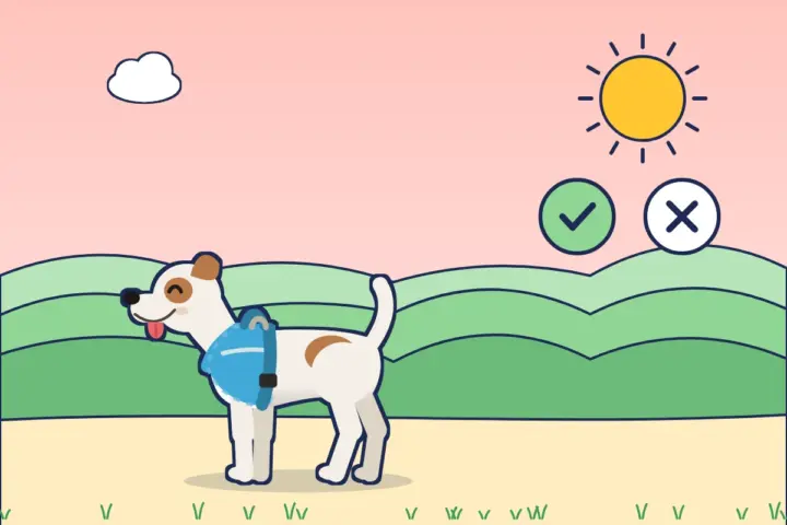 Illustration: Terrier im himmelblauen Geschirr, daneben ein Häkchen und ein Kreuz