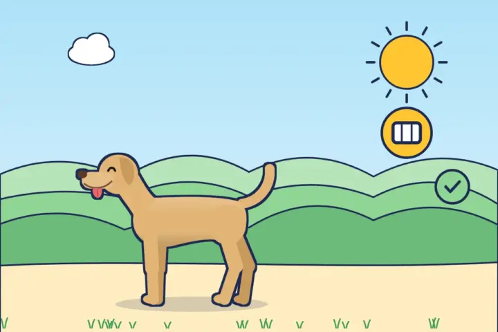 Illustration: Labrador ohne Geschirr, daneben Sticker mit Transportbox und Häkchen