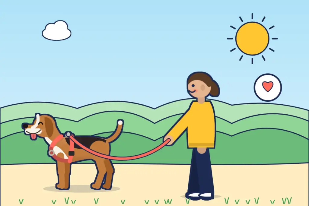 Illustration: Mann mit Beagle im korallenroten Geschirr an lockerer Leine auf einem Feldweg