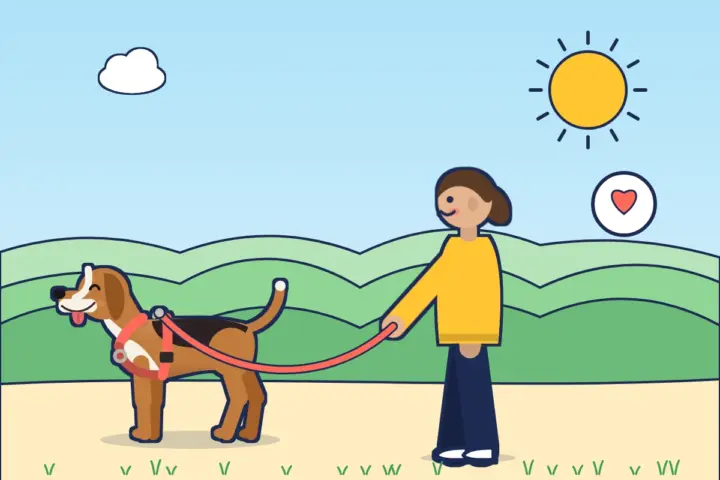 Illustration: Mann mit Beagle im korallenroten Geschirr an lockerer Leine auf einem Feldweg