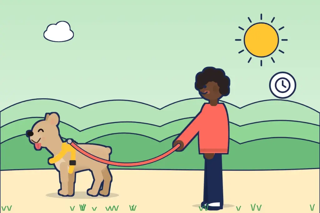 Illustration: Frau mit Französischer Bulldogge im sonnengelben Norwegergeschirr, daneben eine Uhr