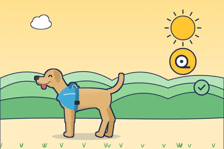 Illustration: Labrador im himmelblauen Geschirr, daneben ein Maßband-Sticker und ein Häkchen
