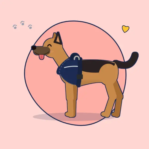 Große Hunde – Beispielbild