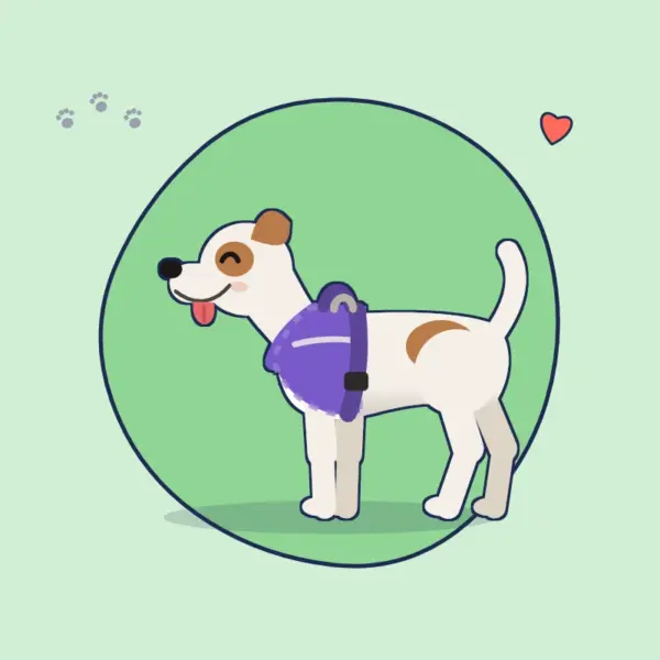 Kleine Hunde – Beispielbild