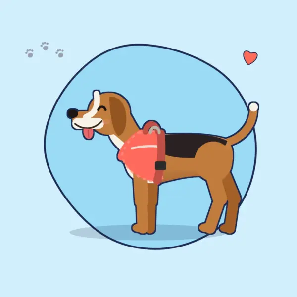 Illustration: Beagle in einem korallenroten, gepolsterten Hundegeschirr vor hellblauem Hintergrund