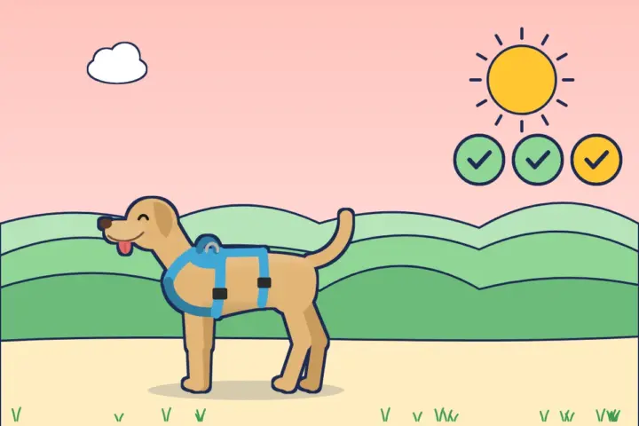 Illustration: Labrador im himmelblauen Sicherheitsgeschirr, daneben drei Häkchen