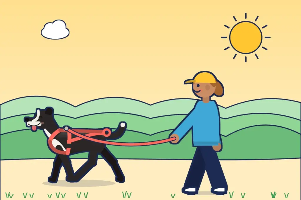 Illustration: Läuferin mit Border Collie im Zuggeschirr an der Leine
