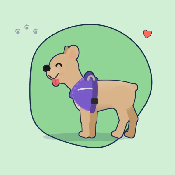 Illustration: Französische Bulldogge in einem lilafarbenen, gepolsterten Geschirr