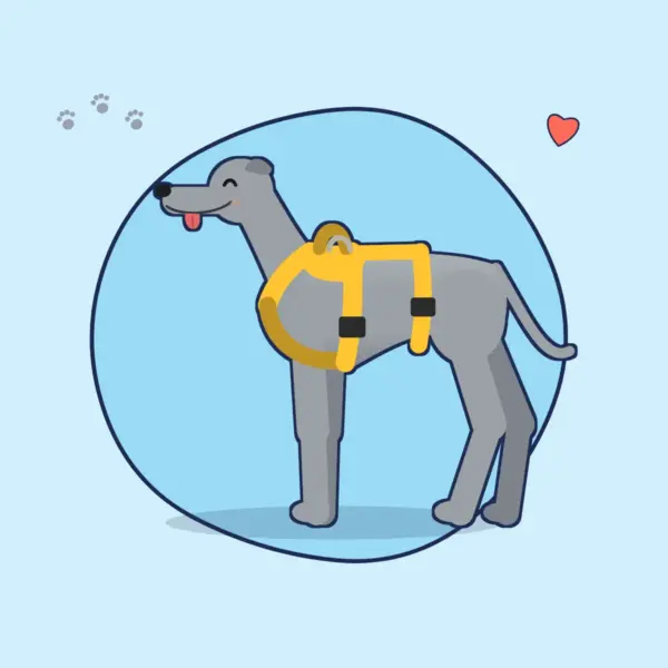 Illustration: grauer Windhund in einem sonnengelben Sicherheitsgeschirr in langer Form