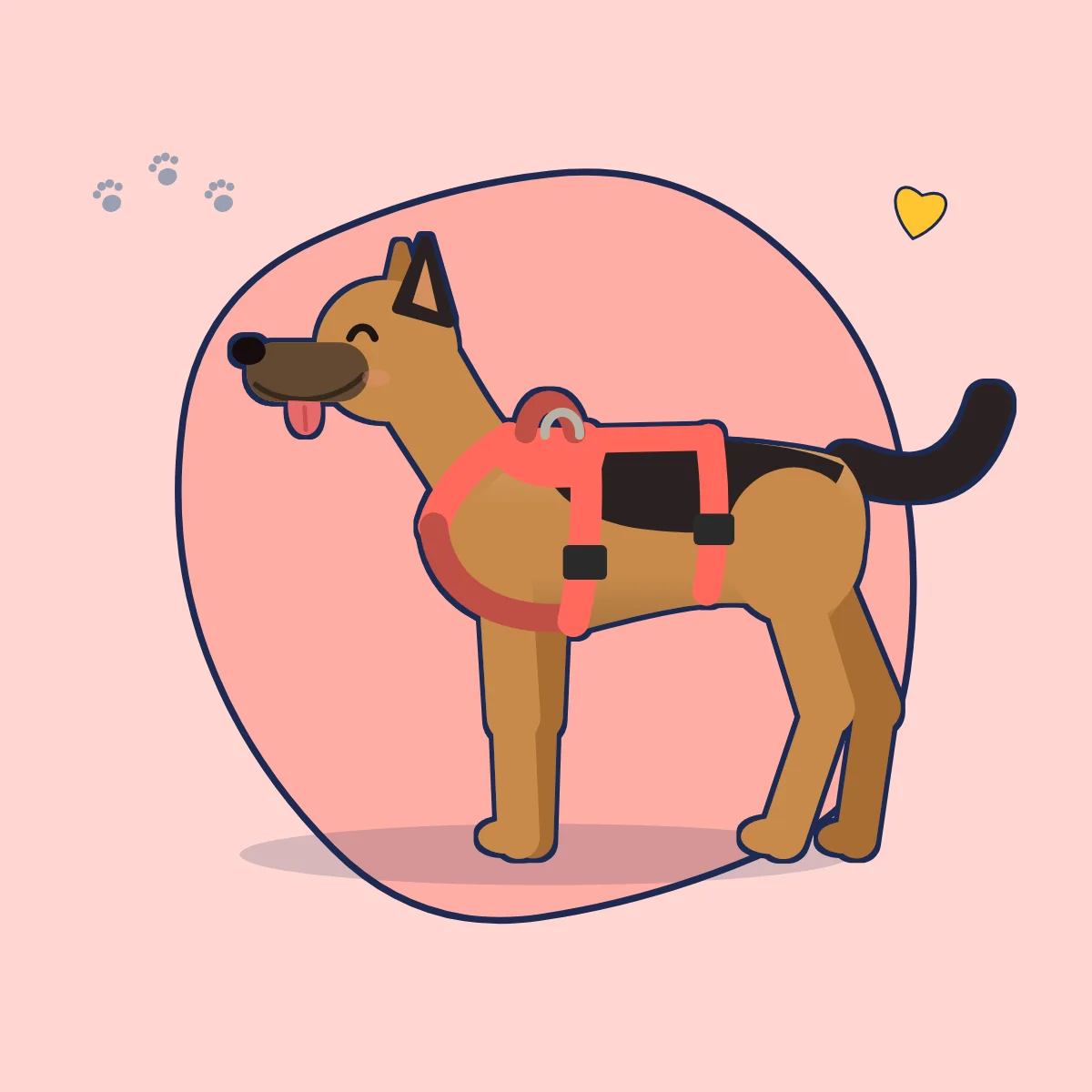 Illustration: Schäferhund in einem korallenroten Sicherheitsgeschirr mit drittem Gurt