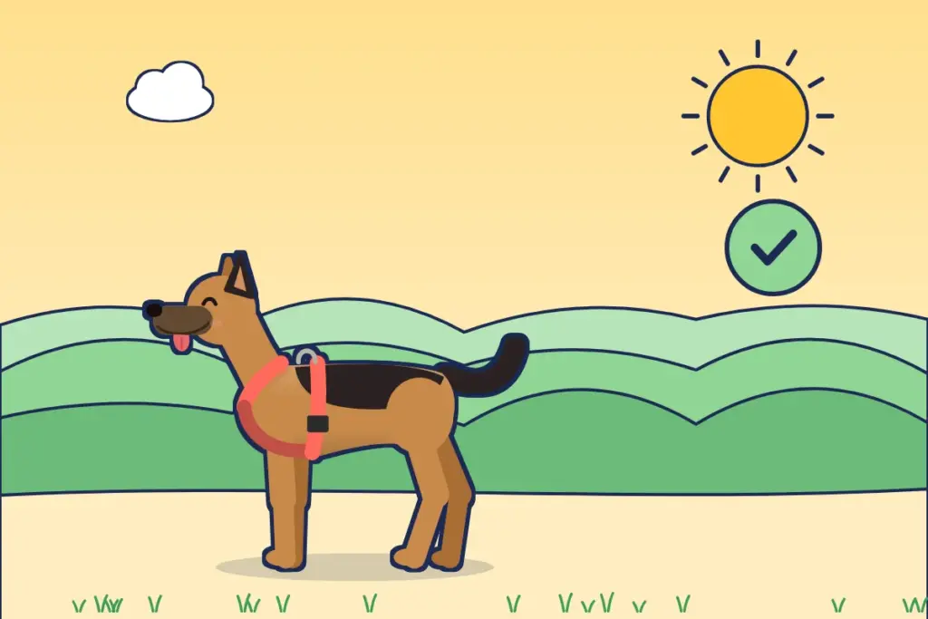 Illustration: Schäferhund im gut sitzenden korallenroten Y-Geschirr mit Häkchen