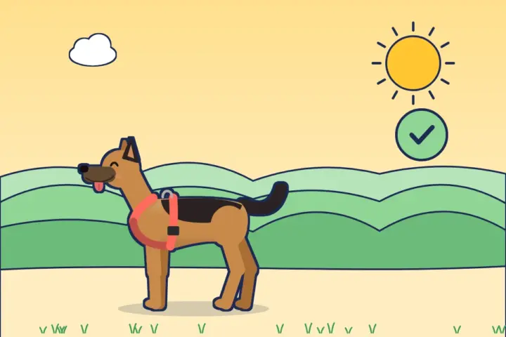 Illustration: Schäferhund im gut sitzenden korallenroten Y-Geschirr mit Häkchen